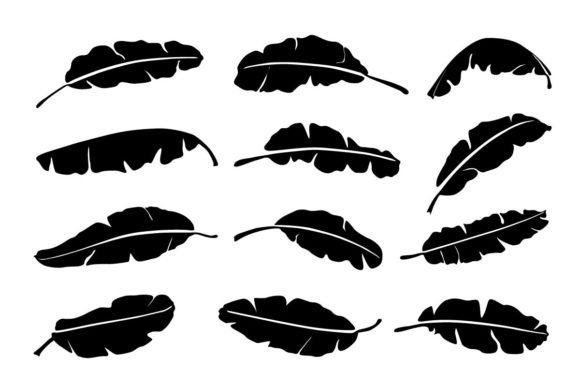 Download Summer Design. Silhouettes Banna Leaves - Premium Resources