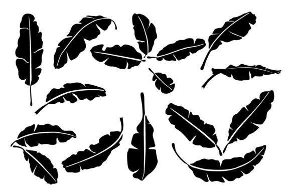 Download Tropical Leaves Silhouettes Summer - Premium Resources